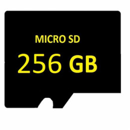 SD MICRO HS-TF-P1/256GB...