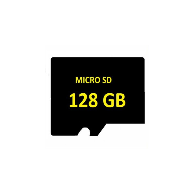 SD MICRO 128GB Surveillance entry level