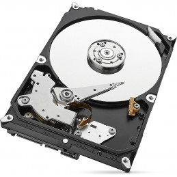 HDD Seagate SkyHawk 8TB