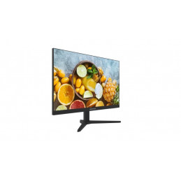 HikVision LCD Monitor za Videonadzor 23.8"